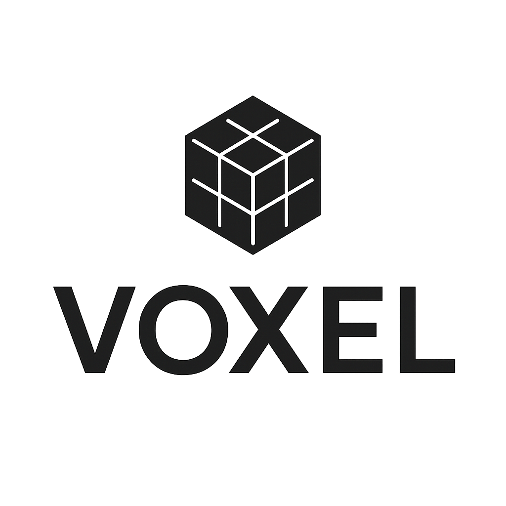 Voxel splash screen logo